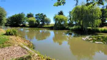 Pool Bridge Farm - Wild Swimming