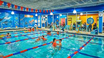 Goldfish Swim School - Sarpy County