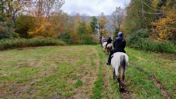 Mountain View Ranch