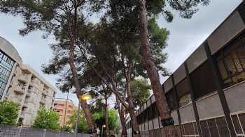 Colegio Público Joan Martorell