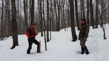 University of Vermont - Washington Forest