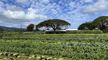 Kokua Learning Farm