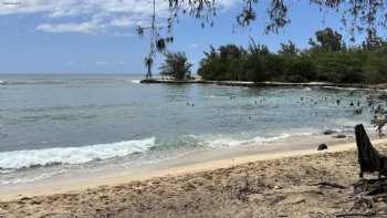 Haleiwa Surf School