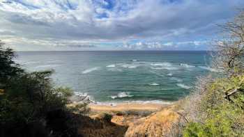 Native Wildlife Education Ohana