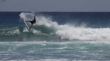 Fozzy Surf School