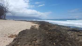 Haleiwa Airstrip