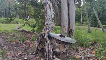 Haleiwa Airstrip