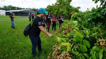 University of Hawaii at Hilo, experimental ag farm