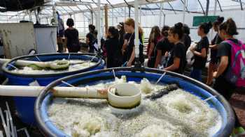 University of Hawaii at Hilo, experimental ag farm