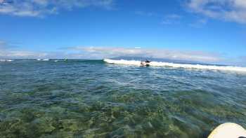 Sea Maui Surf