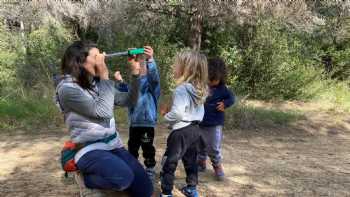 Escuela Naturaleza Valencia - Escuela bosque Torrent - Diente de León