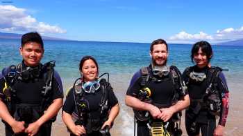 Banyan Tree Divers Maui