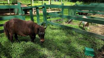 Kualoa Ranch Education Programs