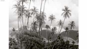 Kuhio pl.