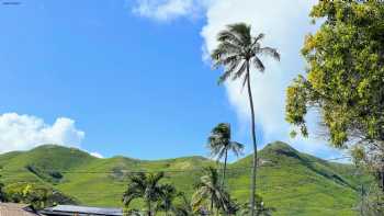 Kalaheo High School