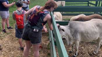 Kualoa Ranch Education Programs