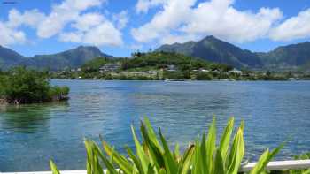 Hawai‘i Institute of Marine Biology