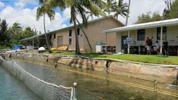 Hawai‘i Institute of Marine Biology