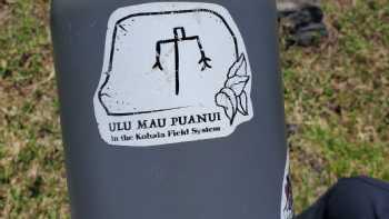 Ulu Mau Puanui