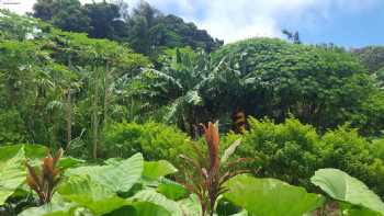 Hawai'i Institute of Pacific Agriculture