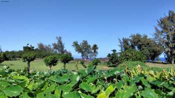 Hawai'i Institute of Pacific Agriculture