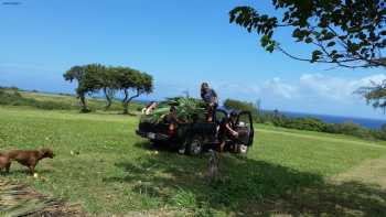 Hawai'i Institute of Pacific Agriculture