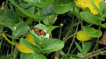 Kualoa Ranch Education Programs