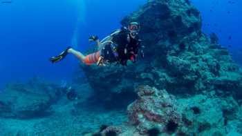 Dive Kauai