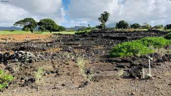 Heiau