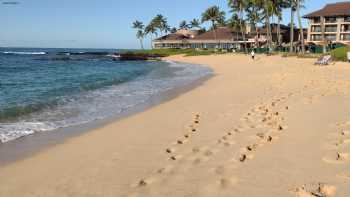 Hawaiian Style Surfing