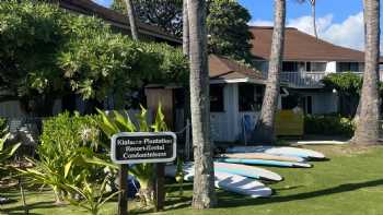 Kauai Surf School