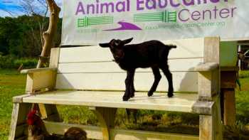 Kauai Animal Education Farm (KAEF)