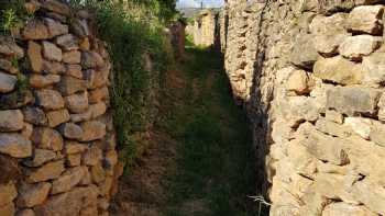 Huertos Tapiados