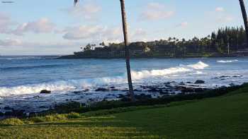 Napili Shores