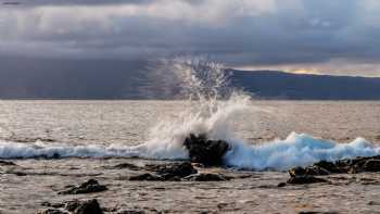 Napili Shores