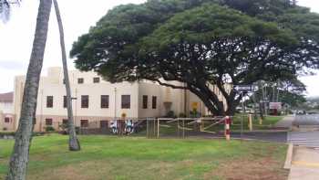 Iao School