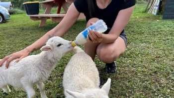 Kauai Animal Education Farm (KAEF)