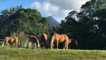 Princeville Ranch