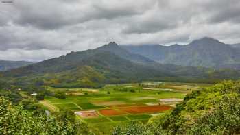 Hanalei Valley Lookout