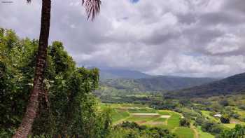 Hanalei Valley Lookout