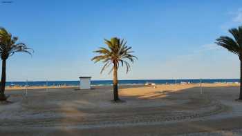 Gandia Playa Universidad