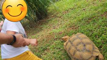 Kauai Animal Education Farm (KAEF)