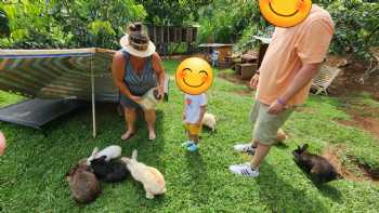 Kauai Animal Education Farm (KAEF)