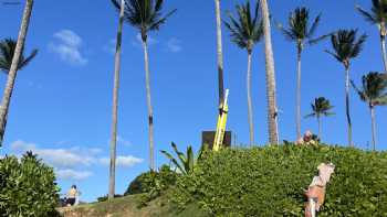 Kauai Surf School