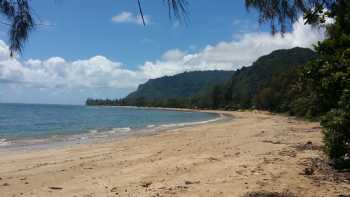 Punalu'u Beach Park