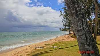 Punalu'u Beach Park