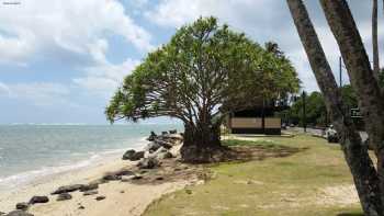 Punalu'u Beach Park