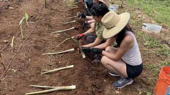 Kokua Learning Farm