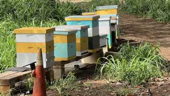 Kokua Learning Farm