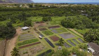 Na Mea Kupono Learning Center